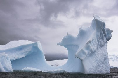 Antarctica 1 - Natuur