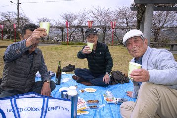 Japan, cherry blossom festival